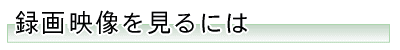 ^撆pfɂ