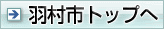 Hsgbv