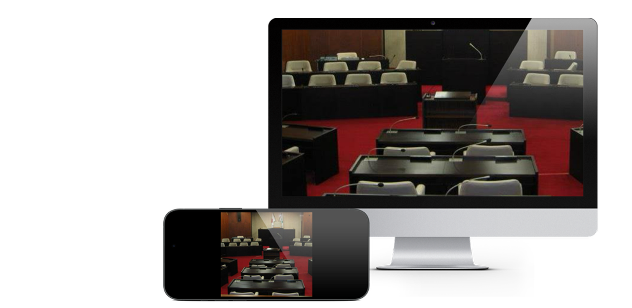 �ዷ���c��f���C���^�[�l�b�g�z�M